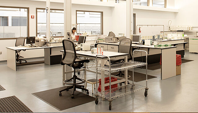 HCS labs 1